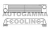 AUTOGAMMA 105254 Intercooler, charger